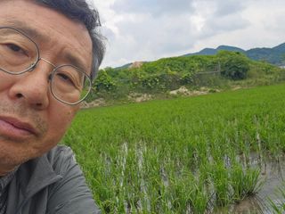 넥스젠님의 벼 · 영농일지 작성글 사진
