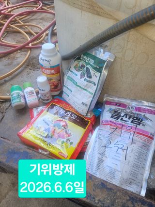 멧돼지님의 기타작물 · 영농일지 작성글 사진