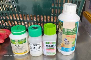 이장호님의 고추 · 영농일지 작성글 사진