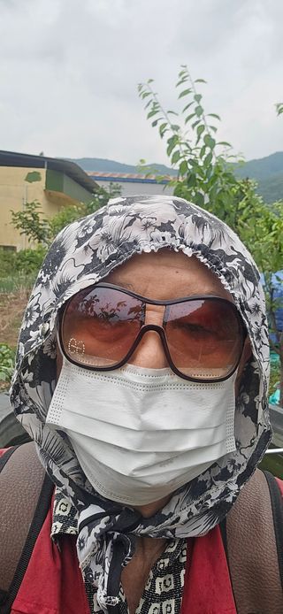 돌복숭아님의 기타작물 · 영농일지 작성글 사진