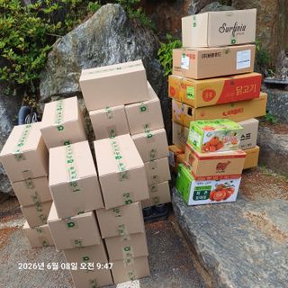 삼성농산님의 파 · 영농일지 작성글 사진