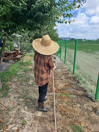 비타민님의 고추 · 영농일지 작성글 사진