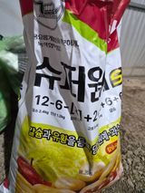 팜모닝 감·영농일지 게시글 이미지