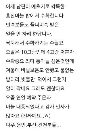 삼성농산님의 마늘 · 영농일지 작성글 사진
