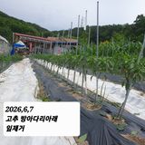 시민농장님의 작성글 사진