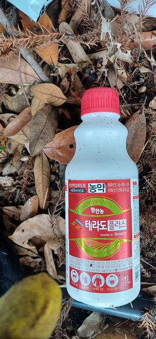 보물섬남자님의 귤 · 영농일지 작성글 사진