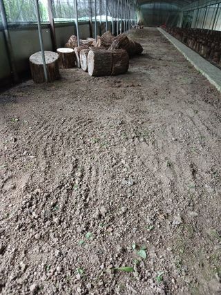 김원규님의 기타작물 · 영농일지 작성글 사진