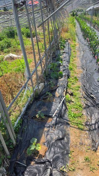 최석주님의 작성글 사진