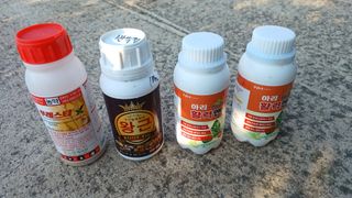 이순기님의 작성글 사진