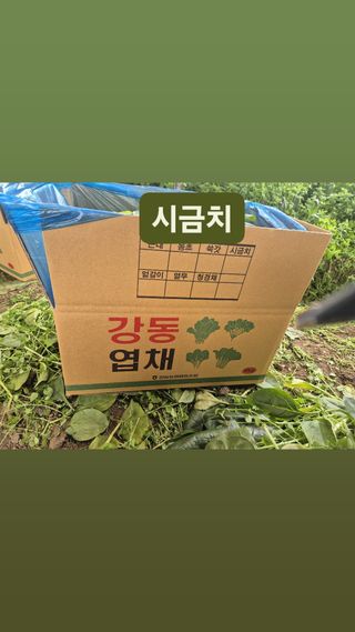 준영농장 출석왕.님의 기타작물 · 영농일지 작성글 사진