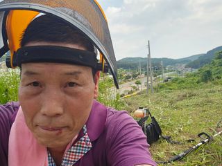 유자황칠님의 기타작물 · 영농일지 작성글 사진