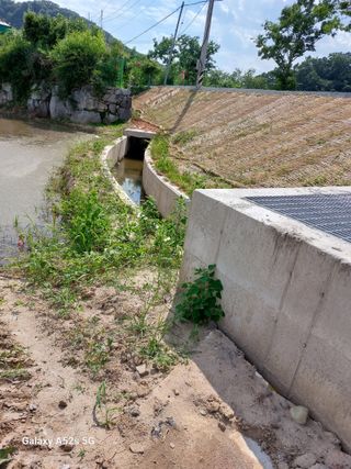 손길준님의 기타작물 · 영농일지 작성글 사진