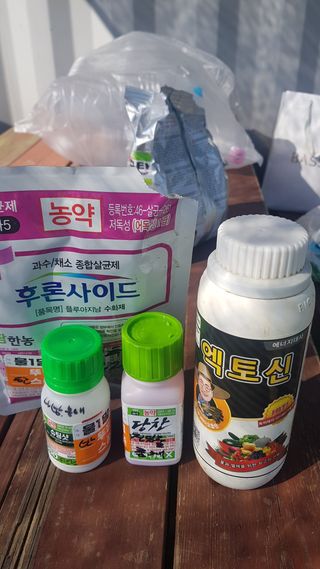 최춘득 청대산 님의 고추 · 영농일지 작성글 사진