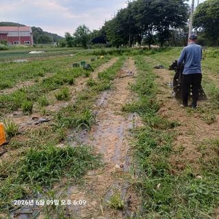 삼성농산님의 기타작물 · 영농일지 작성글 사진