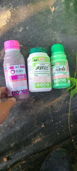 민철현님의 사과 · 영농일지 작성글 사진