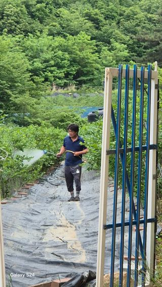 곰티농사꾼님의 기타작물 · 영농일지 작성글 사진