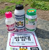 팜모닝 복숭아·영농일지 게시글 이미지
