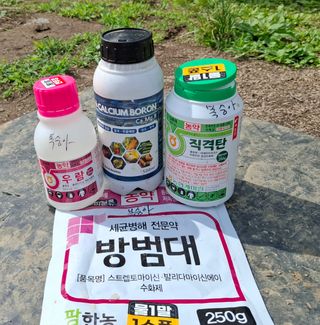 철남 김희곤님의 복숭아 · 영농일지 작성글 사진