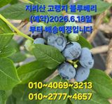 축복의땅 에덴동산님의 작성글 사진