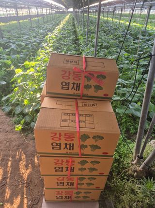 준영농장 출석왕.님의 기타작물 · 영농일지 작성글 사진
