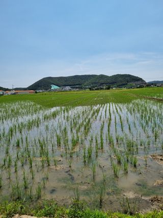 곰새끼님의 작성글 사진