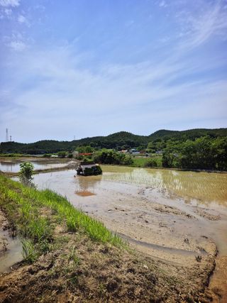 오이8898황산면님의 벼 · 영농일지 작성글 사진