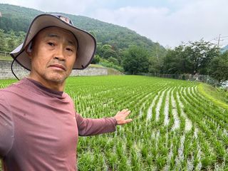 이익수님의 벼 · 영농일지 작성글 사진