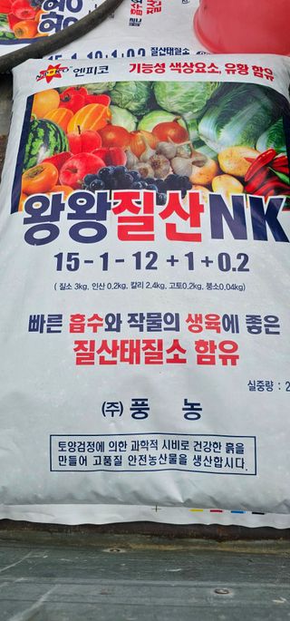 레티님의 기타작물 · 영농일지 작성글 사진
