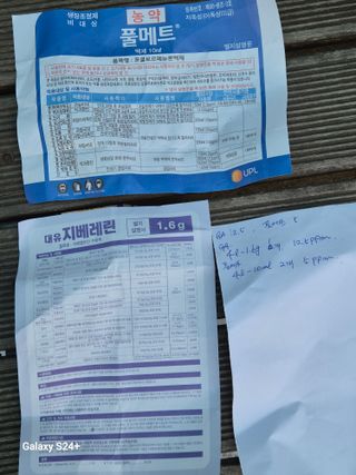 더 드림 농원님의 포도 · 영농일지 작성글 사진