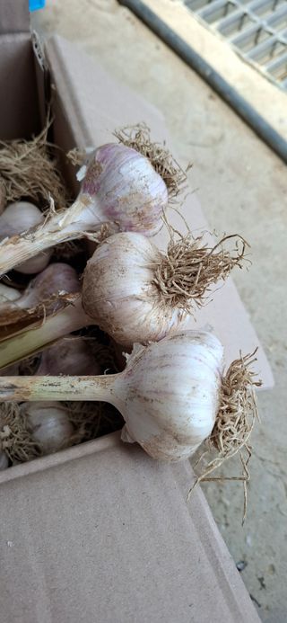 전영옥님의 작성글 사진