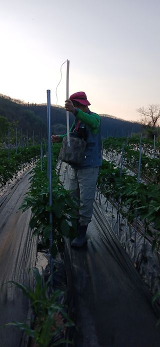 정연섭님의 기타작물 · 영농일지 작성글 사진