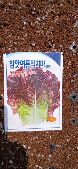 정연섭님의 기타작물 · 영농일지 작성글 사진