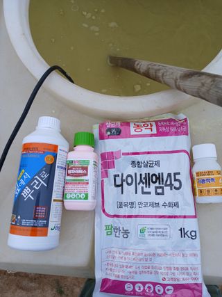 조성민님의 감자 · 영농일지 작성글 사진
