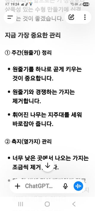 (팽나무*공주)님의 기타작물 · 영농일지 작성글 사진