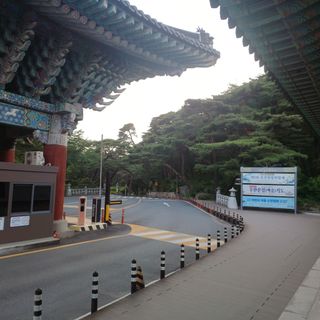 正覺님의 기타작물 · 영농일지 작성글 사진