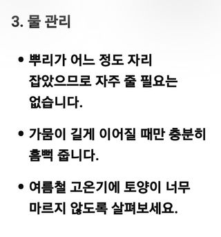 (팽나무*공주)님의 기타작물 · 영농일지 작성글 사진