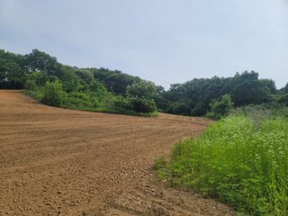 신승철님의 콩 · 영농일지 작성글 사진