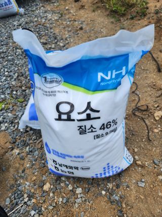 정진용님의 오이 · 영농일지 작성글 사진