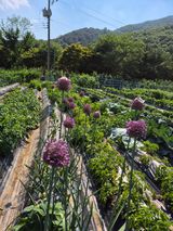 이경옥님의 작성글 사진