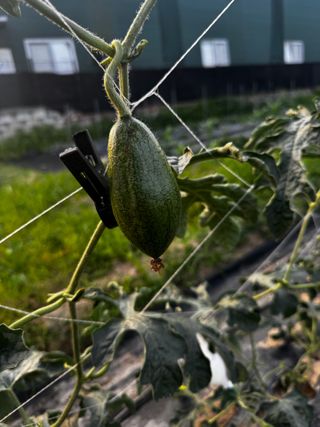 송재호님의 작성글 사진