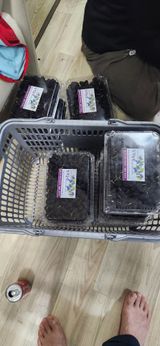 최군환님의 작성글 사진