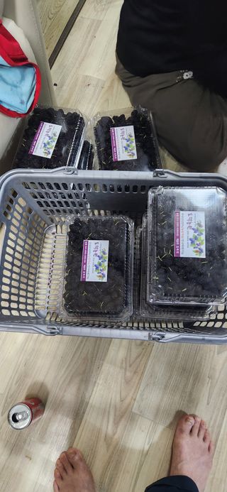 최군환님의 기타작물 · 영농일지 작성글 사진