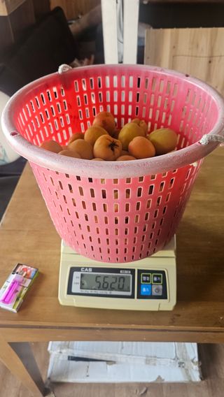 장정규님의 기타작물 · 영농일지 작성글 사진