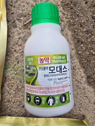 조정미님의 사과 · 영농일지 작성글 사진