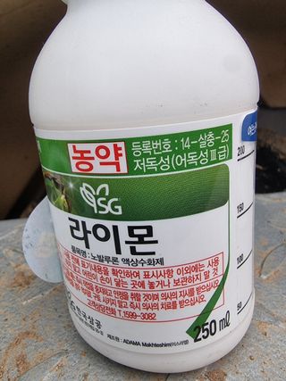 박기택님의 기타작물 · 영농일지 작성글 사진