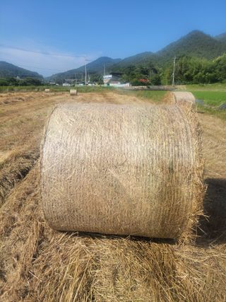 이행옥님의 기타작물 · 영농일지 작성글 사진