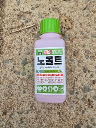 조정미님의 사과 · 영농일지 작성글 사진