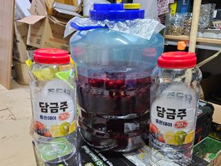 김인수님의 기타작물 · 영농일지 작성글 사진