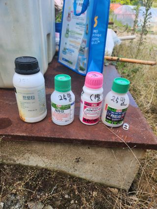 정진용님의 오이 · 영농일지 작성글 사진