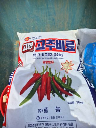 오이8898황산면님의 고추 · 영농일지 작성글 사진